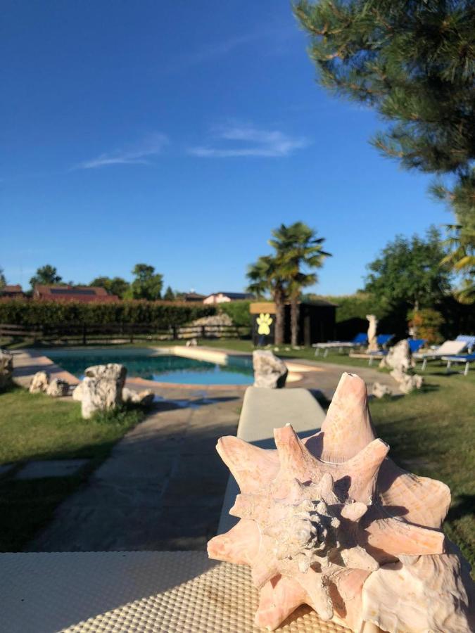 B&B La Zampa Pieve Otto Ville Exterior photo